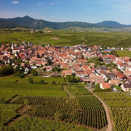 Gite Du Vignoble Beblenheim Exterior foto