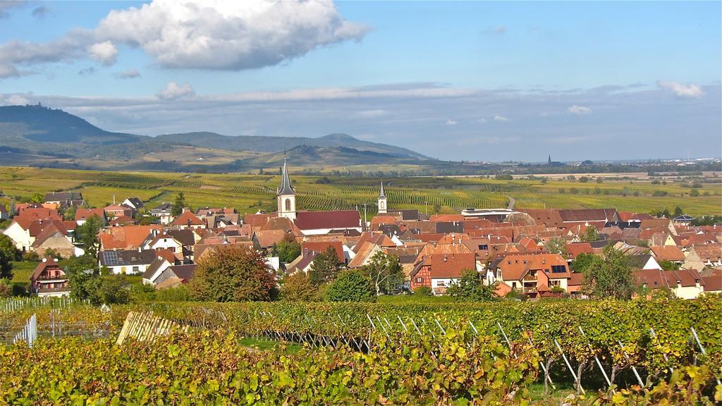 Gite Du Vignoble Beblenheim Quarto foto