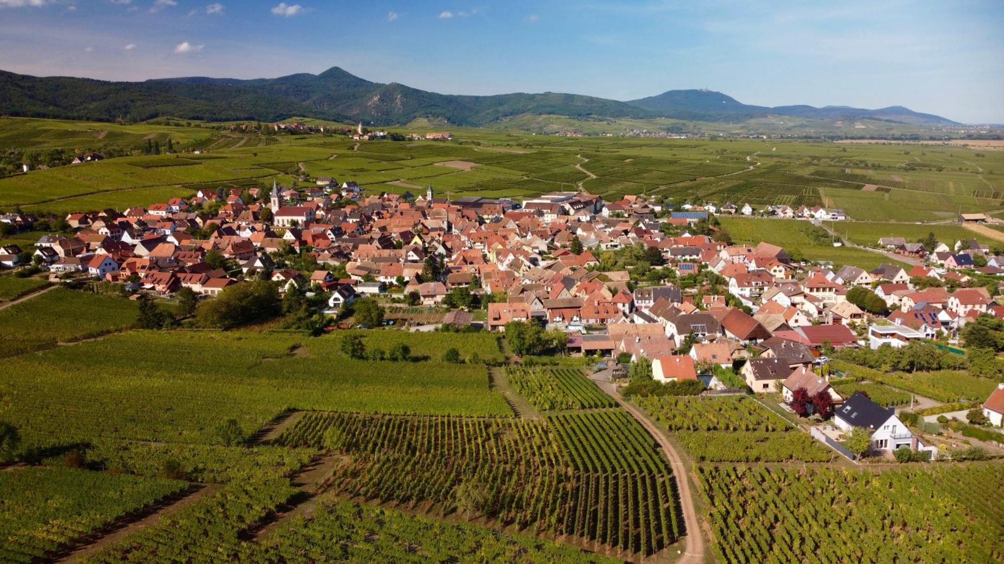 Gite Du Vignoble Beblenheim Exterior foto